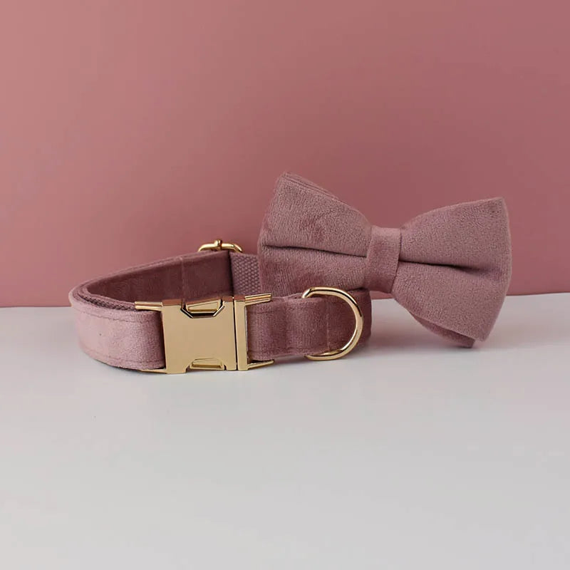 Pink dog collar with a bow tie and gold buckle on a pink background