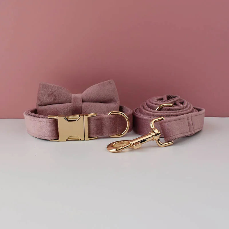 Pink dog collar with gold hardware on a pink background