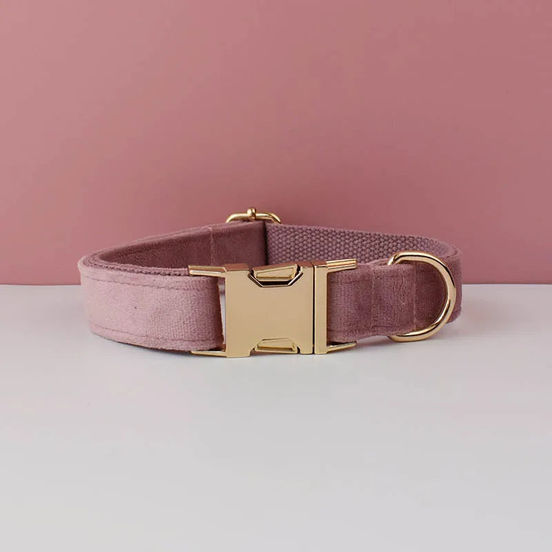 Pink dog collar with gold buckle on a pink background