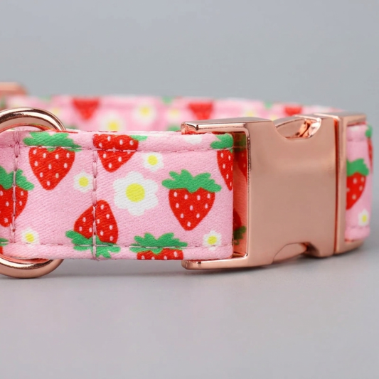 Pink dog collar with strawberry pattern and rose gold buckle on a gray background