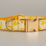Dog collar with banana pattern and gold buckle on a neutral background
