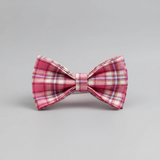 Plaid bow tie on a gray background