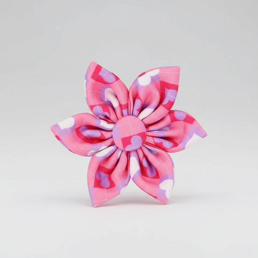 Pink and purple checkered bow on a light gray background