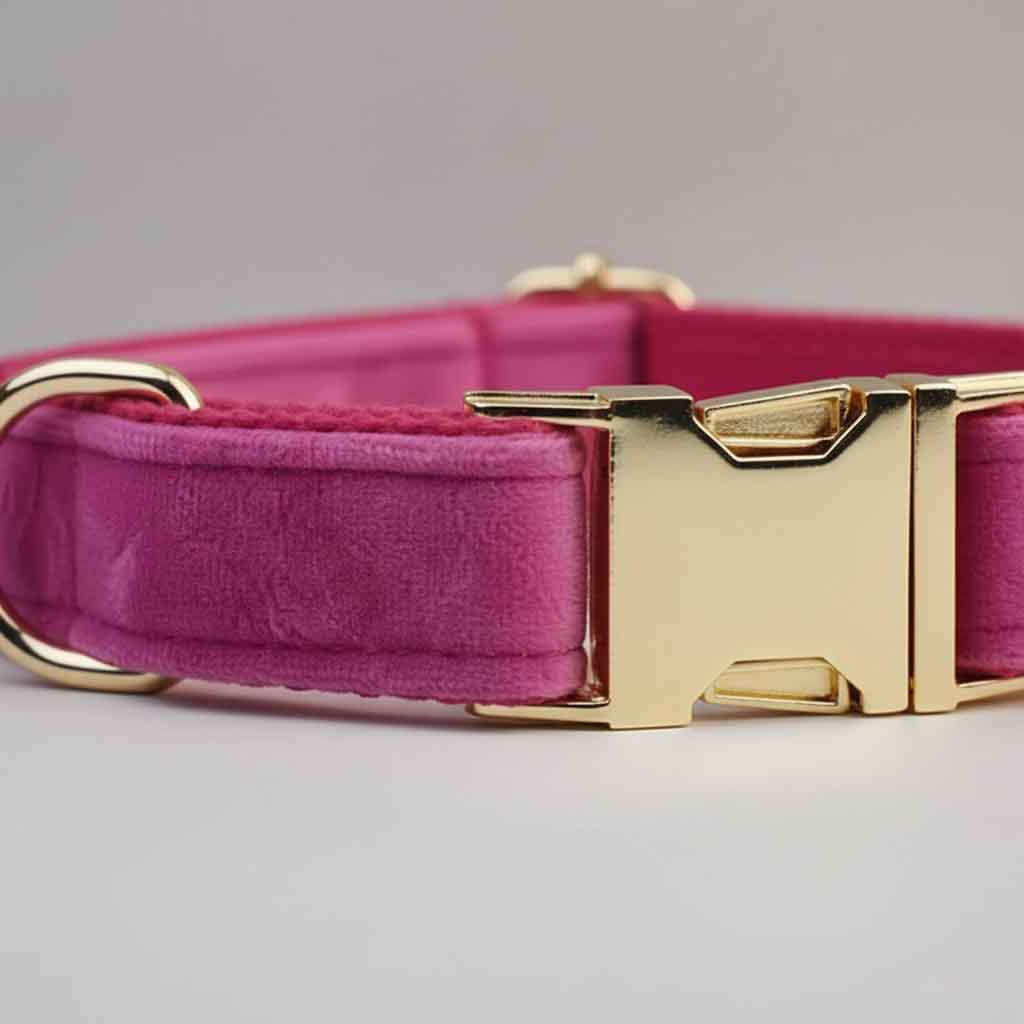 Pink dog collar with a gold buckle on a light gray background