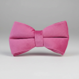 Pink bow tie on a gray background