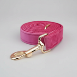 Pink dog leash with gold clip on a light gray background