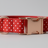 Red dog collar with white polka dots and rose gold buckle on a light gray background