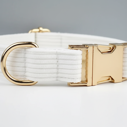 White dog collar with gold hardware on a light gray background