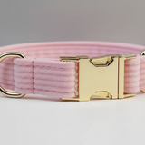 Pink dog collar with a gold buckle on a light gray background