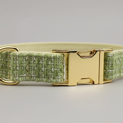 Dog collar with green pattern and gold buckle on a gray background