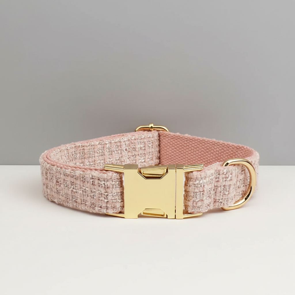 Dog collar with gold buckle on a light gray background