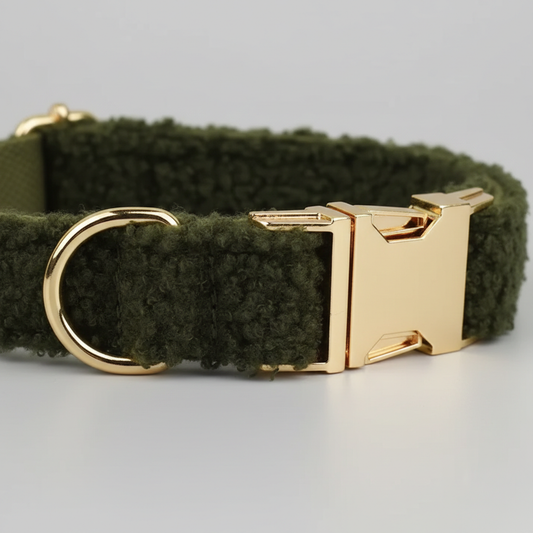 Green dog collar with gold buckle on a light gray background