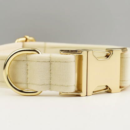 Golden Birch Collar