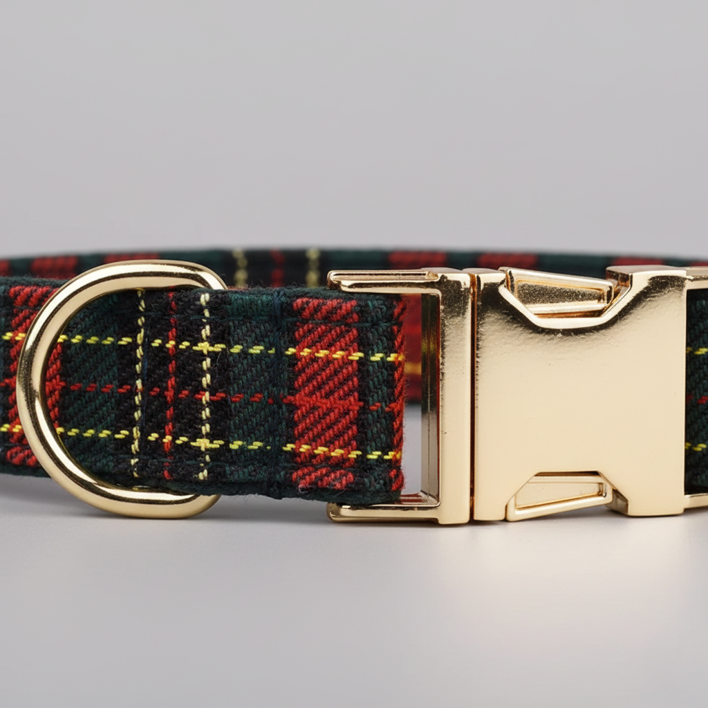 Plaid dog collar with gold buckle on a gray background