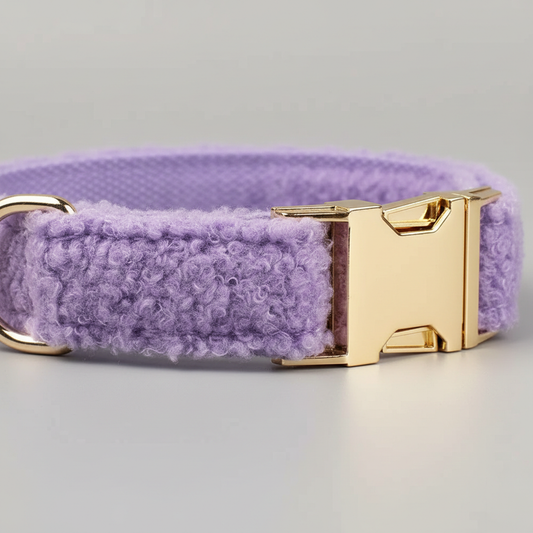 Purple dog collar with a gold buckle on a light gray background