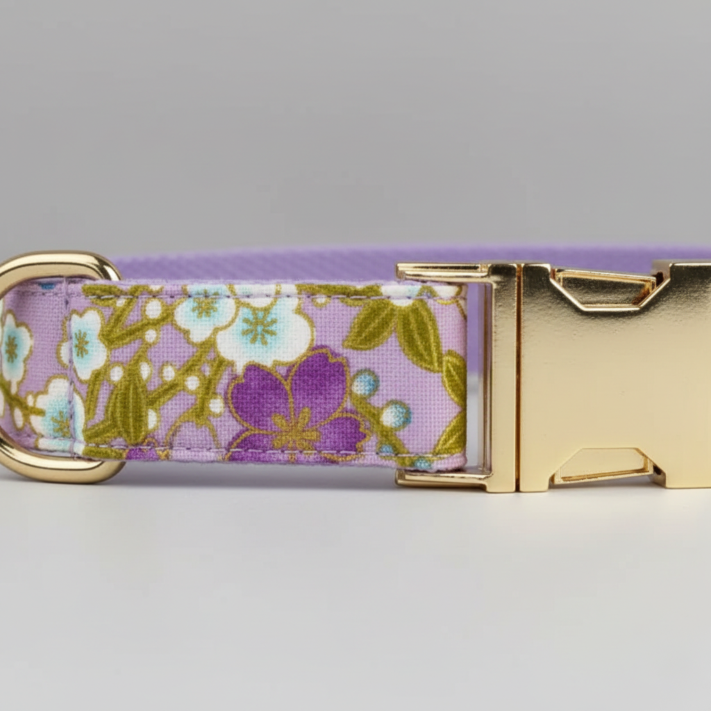 Floral-patterned dog collar with gold buckle on a gray background