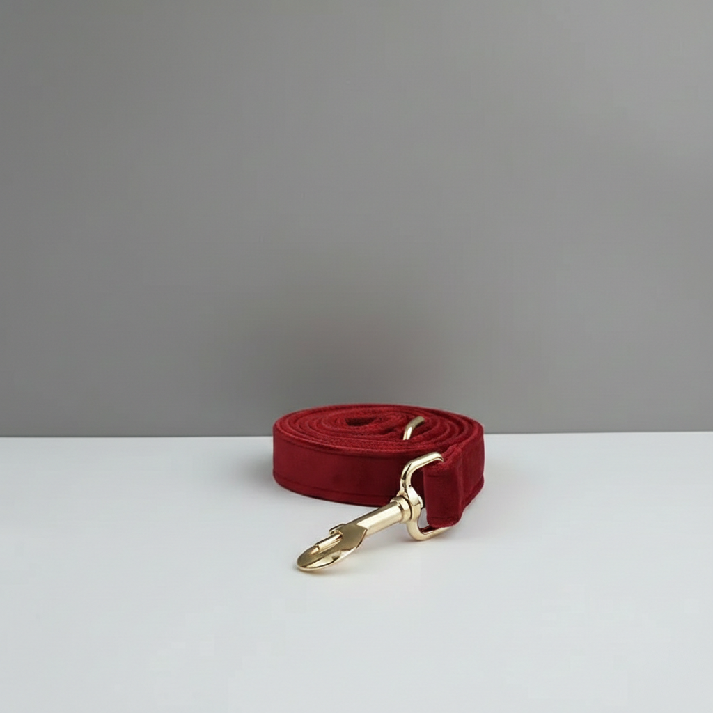 Red dog leash with gold clasp on a white surface and gray background