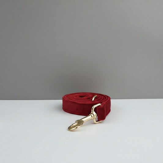 Red dog leash with gold clasp on a white surface and gray background