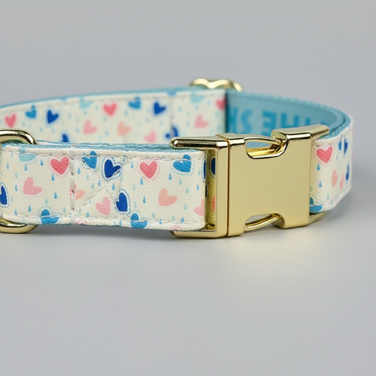 Dog collar with heart pattern and gold buckle on a gray background