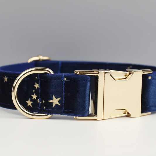Navy blue dog collar with gold hardware and star pattern on a gray background