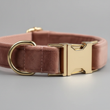Pink dog collar with a gold buckle on a gray background