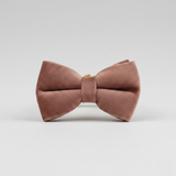 Mocha Dust Bow