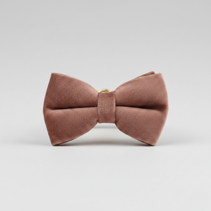 Mocha Dust Bow