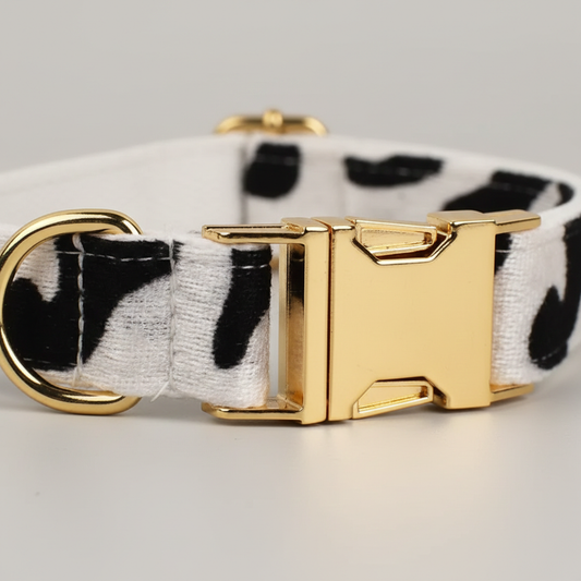 Dog collar with gold buckle and black and white pattern on a light gray background