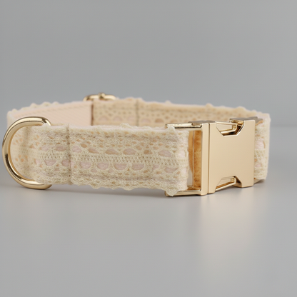 Beige dog collar with gold buckle on a gray background