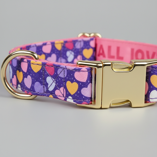 Dog collar with colorful heart pattern and gold buckle on a gray background