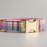 Pastel Pop Collar