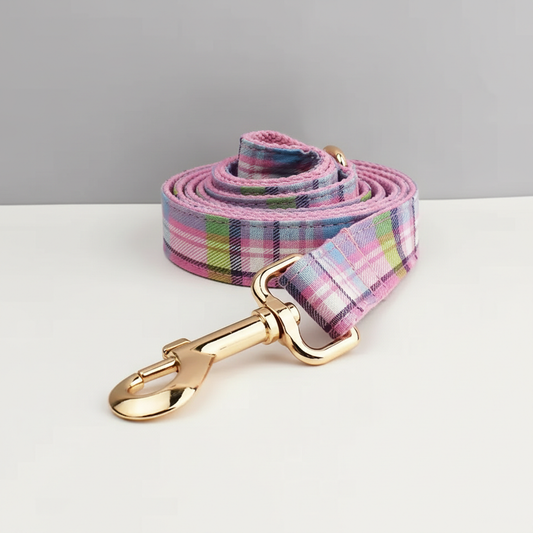 Plaid dog leash with gold clip on a white surface