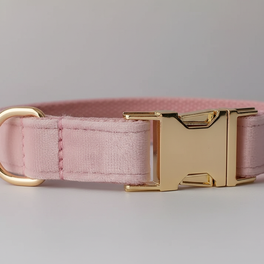 Pink Champagne Collar