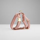 Pink dog harness with gold hardware on a light gray background