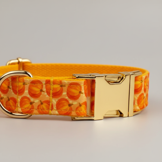Dog collar with pumpkin pattern and gold buckle on a gray background