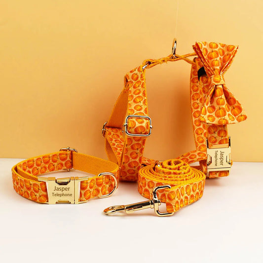 Spiced Harvest Collection - Pumpkin Patch Edition