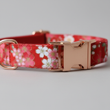 Dog collar with floral pattern and rose gold buckle on a gray background