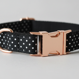 Black polka dot dog collar with rose gold buckle on a light gray background