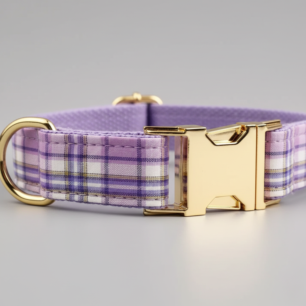 Purple plaid dog collar with gold buckle on a gray background