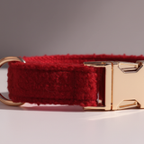 Red belt with gold buckle on a neutral background