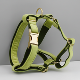 Avocado Fuzz Harness