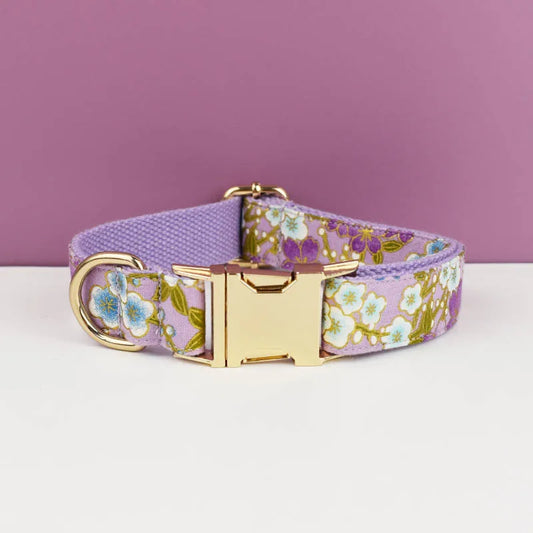Floral-patterned dog collar with gold buckle on a white surface against a purple background