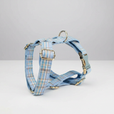 Bluebell Bunny Harness