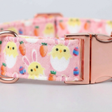 Pink dog collar with Easter-themed design and rose gold buckle on a light gray background