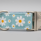Daisy Skies Collar