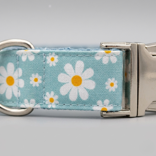 Daisy Skies Collar