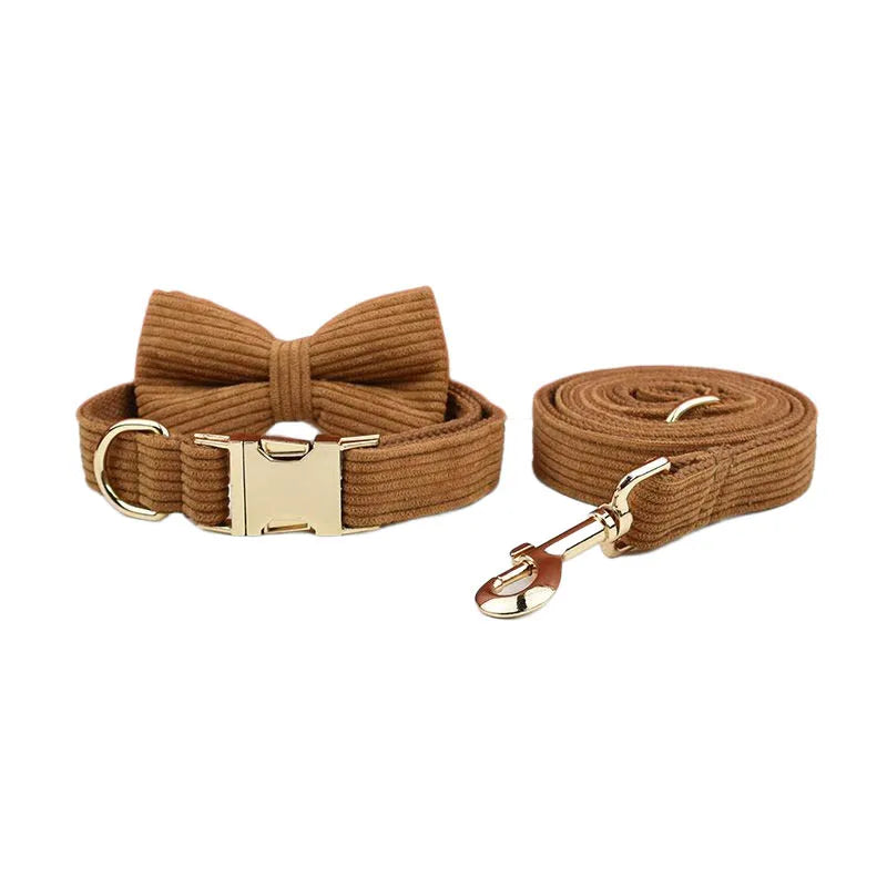 Brown dog collar and leash set with gold hardware on a white background