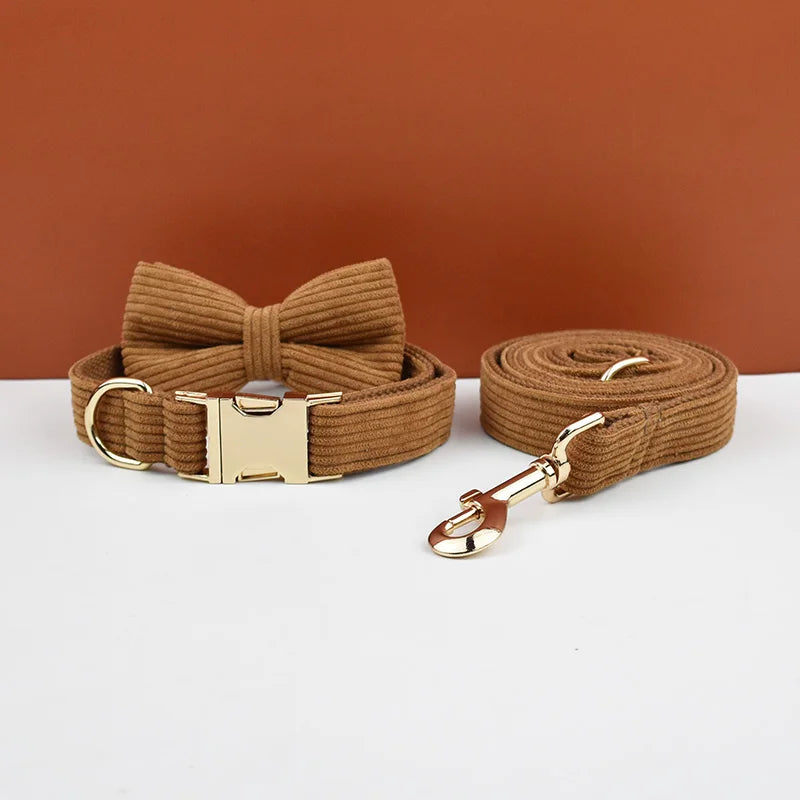 Brown dog collar and leash set with gold hardware on a white surface against a brown background