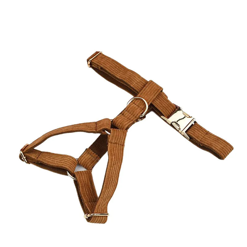 Brown dog harness with gold hardware on a white background