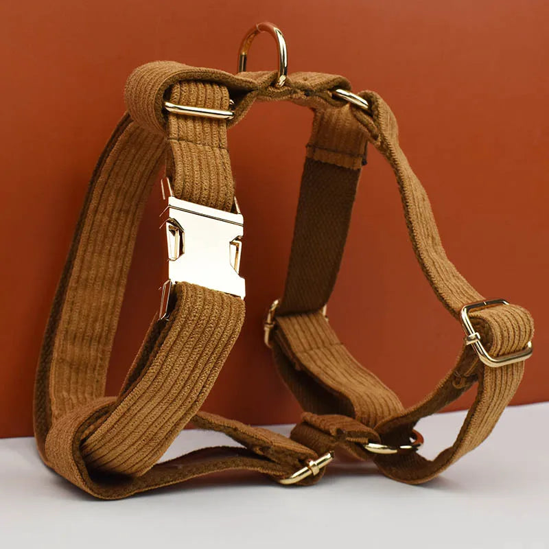 Brown dog harness with gold hardware on a white surface against a brown background